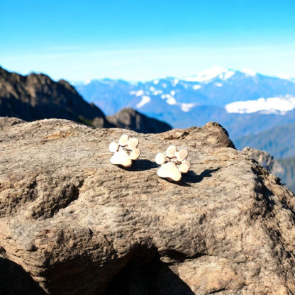 Boucles d'oreilles hypoallergéniques